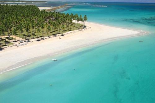 Tamandare Apartment | Flat no Carneiros Beach Resort