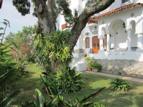 Santa Teresa Bed & Breakfast | Guesthouse Bianca