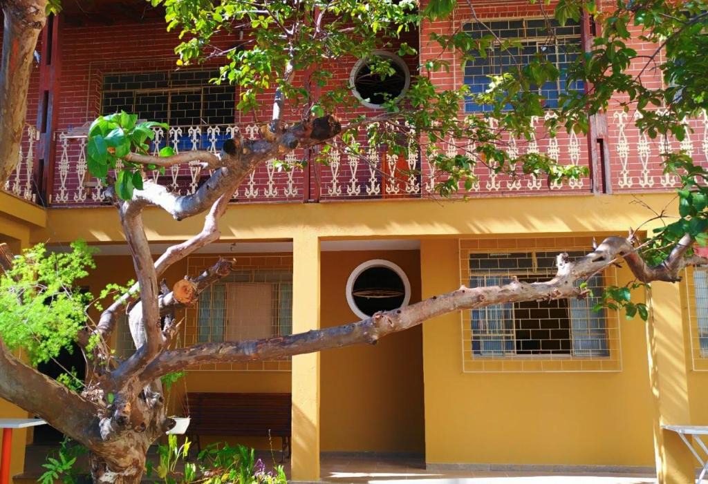 Uniao House | Hostel 238