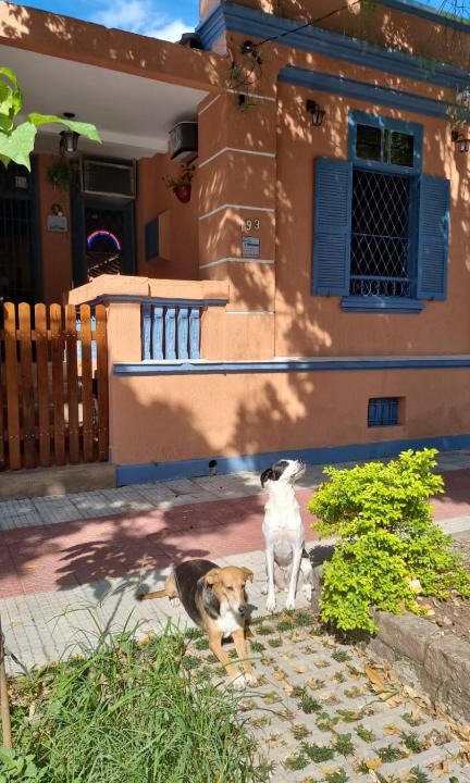 Macuco House | Hostel El Caminito LGBTQIAPN plus