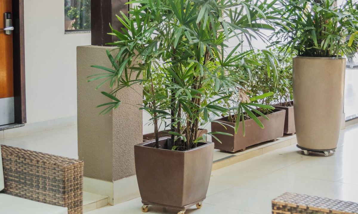 Sorriso Hotel | Hotel Avenida