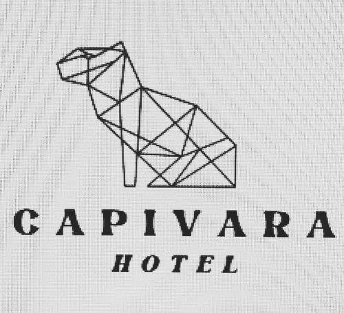 Mucuge Apartment | Hotel Capivara