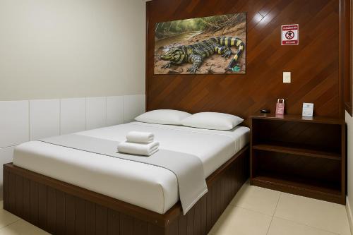 Campina Apartment | Hotel COP 30