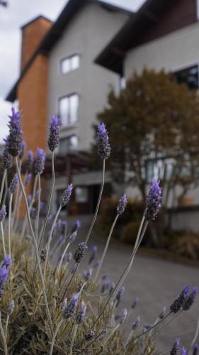 Planalto Hotel | Hotel Gramado Interlaken
