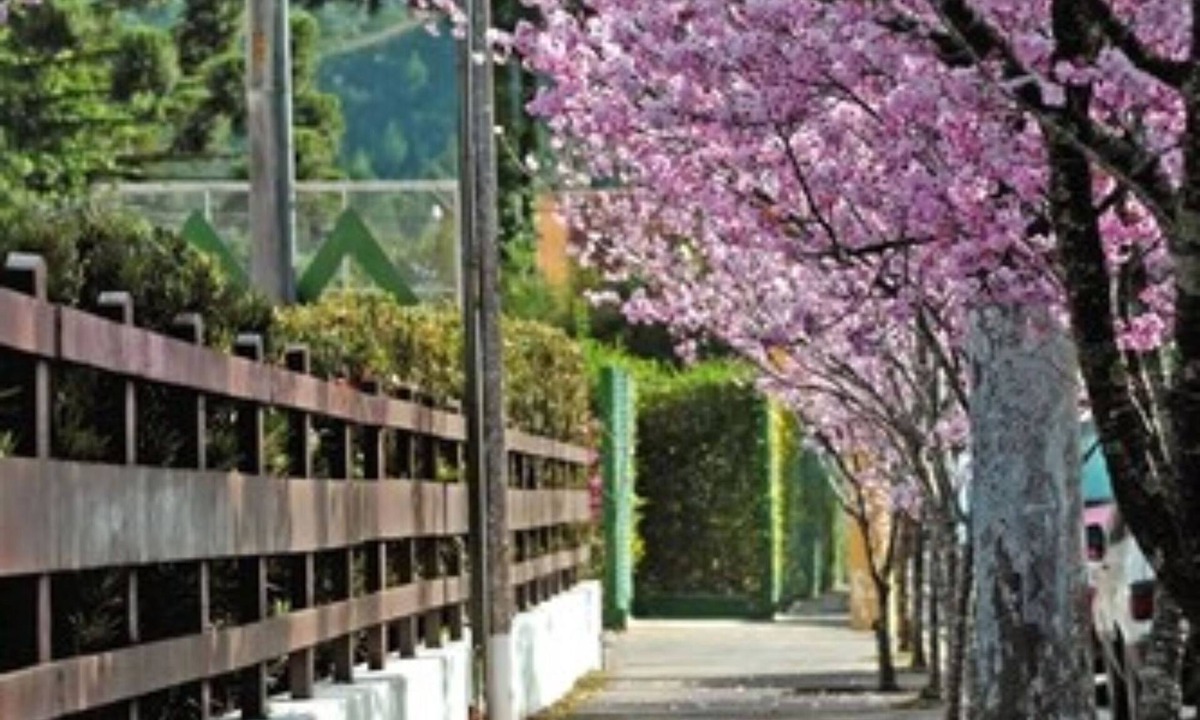 Capivari Hotel | Hotel Matsubara