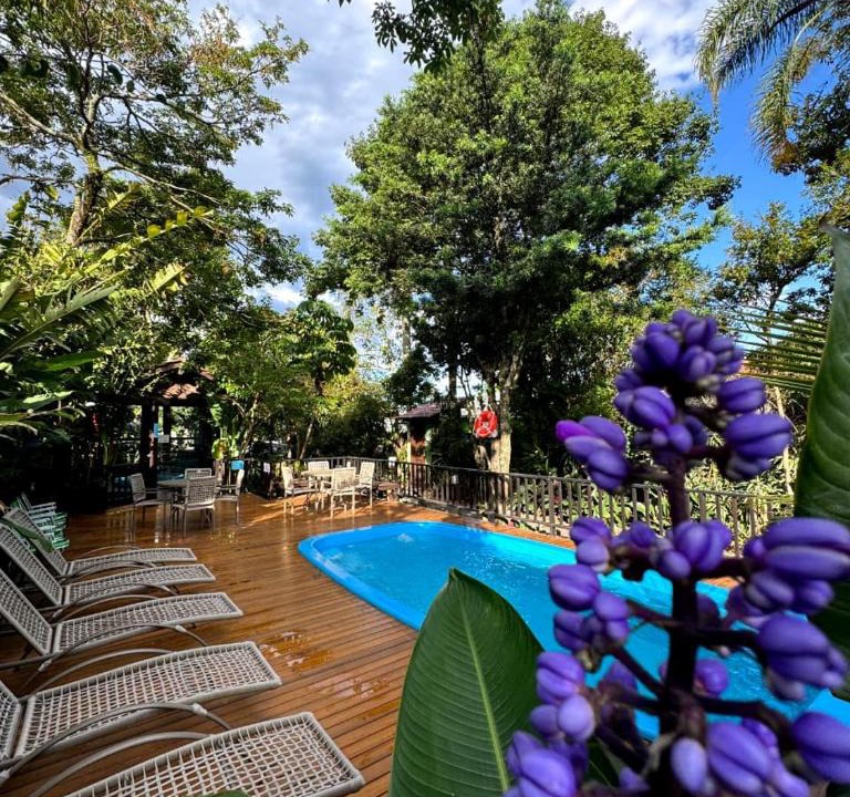Campeche Hotel | Hotel Natur Campeche