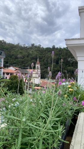 Eco Hotel | Hotel Pierazzo