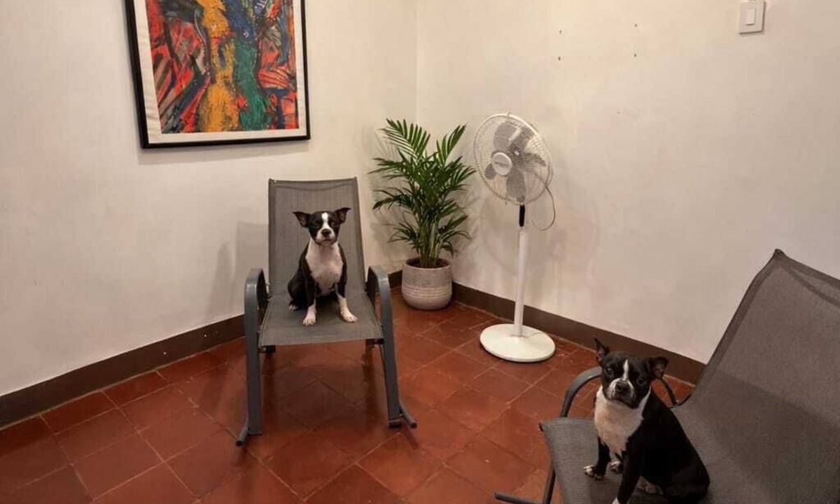 Granada Apartment | HOUSE IN GRANADA WITH A/C PETS WELCOME