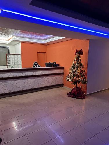 Central Sector Hotel | Itajubá Executive Hotel - Goiânia