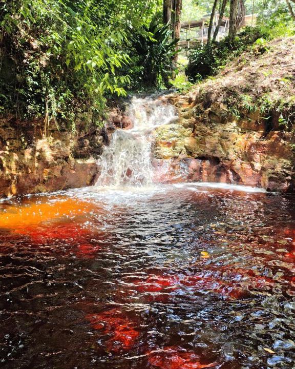 Amazon River House | Jaracuí - Experiência Amazônica