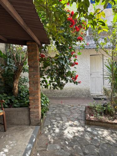 Horto Apartment | Kitnet em Belo Horizonte