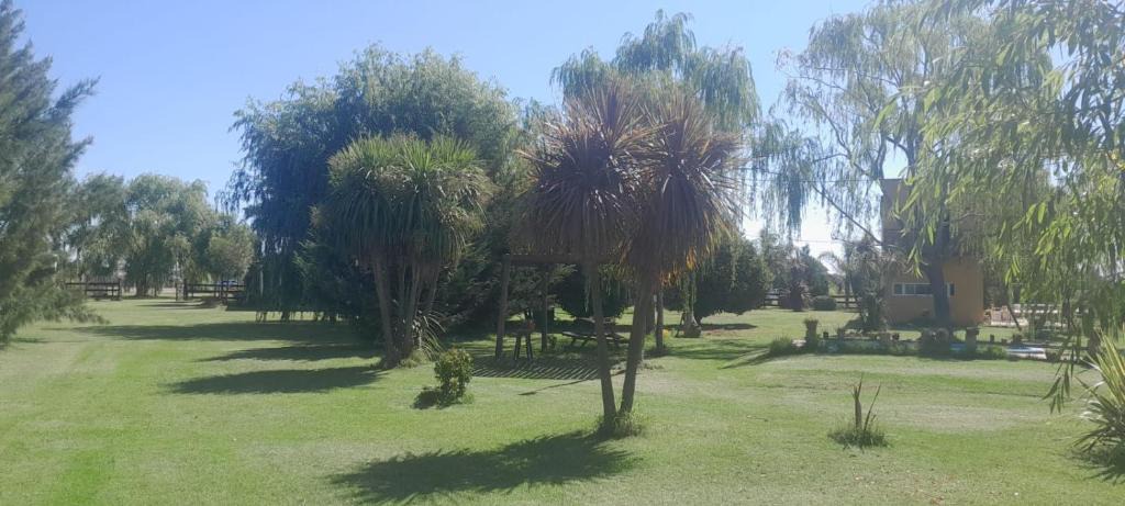 Chascomus Apartment | La Farola