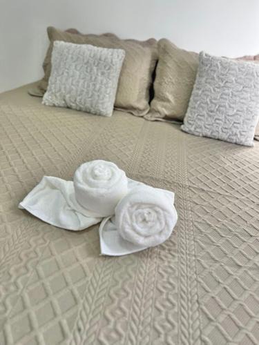 Centro Apartment | Lindo apartamento de 3 quartos bem amplo próximo a Rua de Lazer Domingos Martins