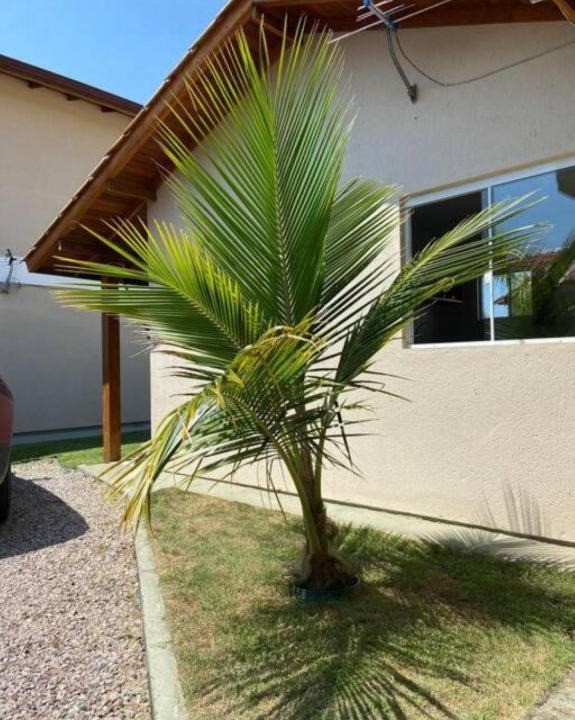 Campeche Leste Apartment | Loft no Campeche Próximo à Praia!