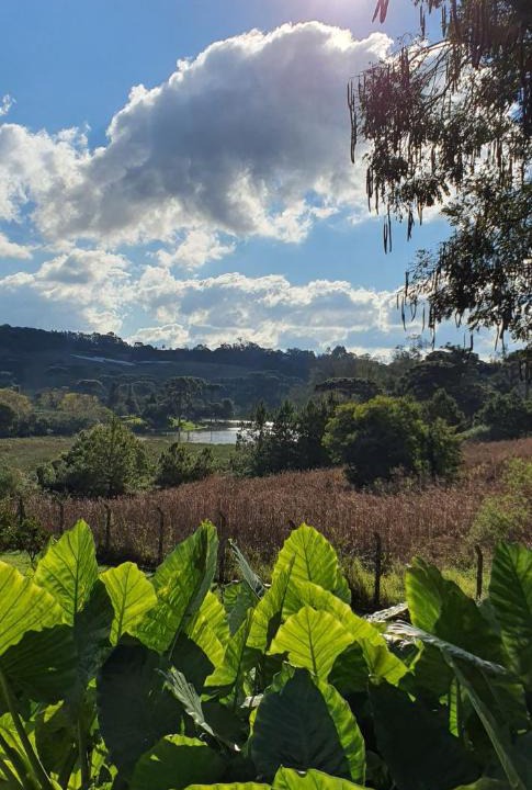 Farroupilha House | Loft romântico na Serra - natureza e fogão a lenha