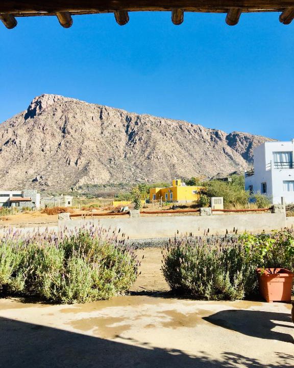 Cafayate House | Los Aromos 1