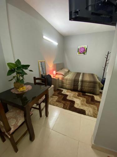 San Lorenzo Apartment | Lujoso ,cómodo MONOAMBIENTE