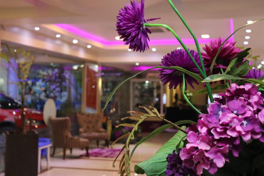 Encarnacion Hotel | Luxsur