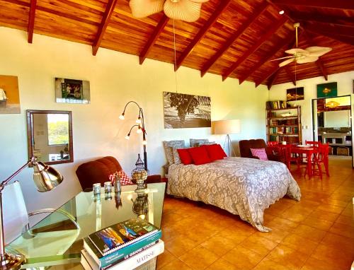 Garabito Apartment | Magic Mountain Views Studio