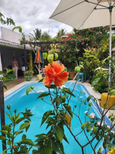 Camocim Bed & Breakfast | MANDALA DREAMS Pousada e Portal Holístico