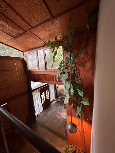 Azurita House | Maravilhosa Casa da Floresta