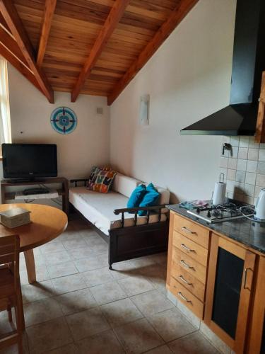 Lanin National Park Apartment | Monoambiente amplio con piscina