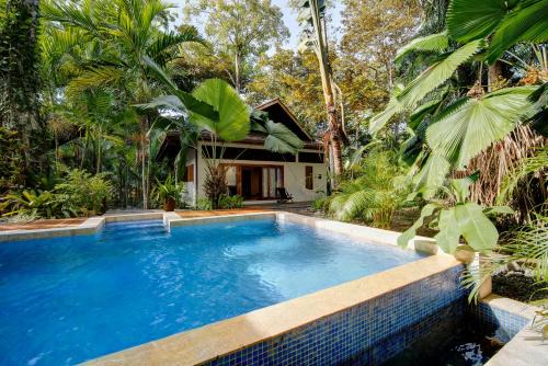 Chiguata House | Nirvana House
