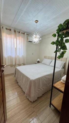 Alter do Chao House | Nossa House em Alter