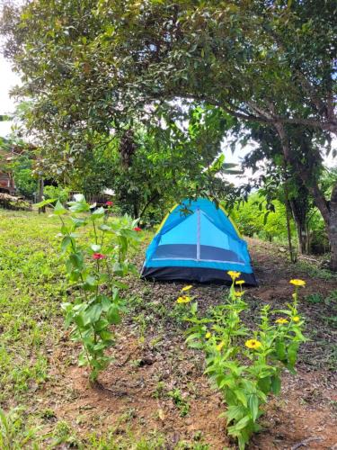 Conceicao do Mato Dentro Other | Nosso Quintal Candeias - Camping