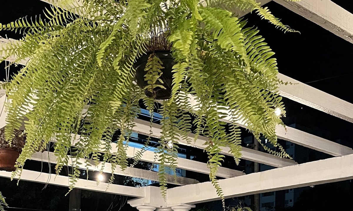 Lourdes Hotel | Nuh Hostel - Lourdes