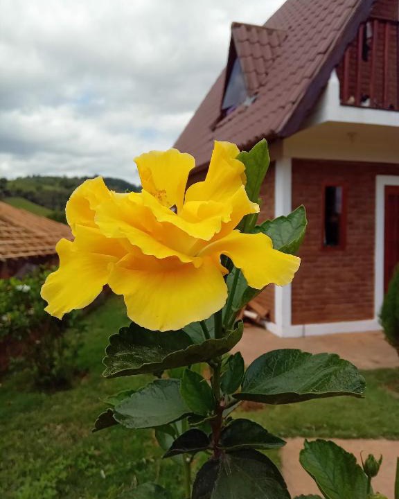 Olimpio Noronha Cabin | O CHALÉ