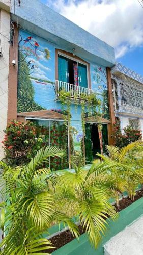 Cidade Velha Hostel | O Plácido Arte Hostel
