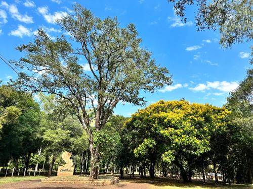 Hohenau Hotel | Parque Hotel Manantial
