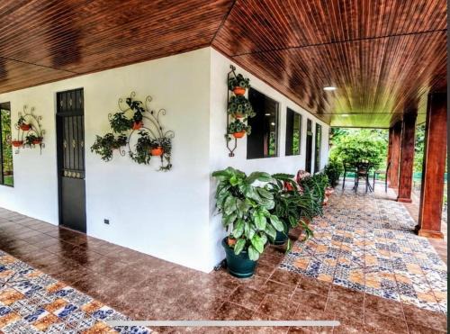 Parrita House | Paseo de Damitas