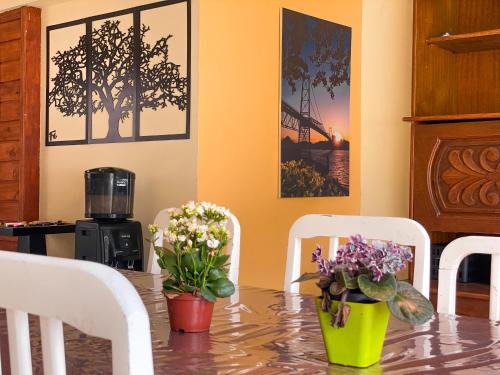 Campeche Norte Hostel | Picco da Ilha Hostel