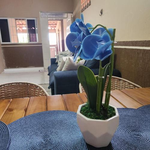 Jardim Europa House | Pousada Castelo