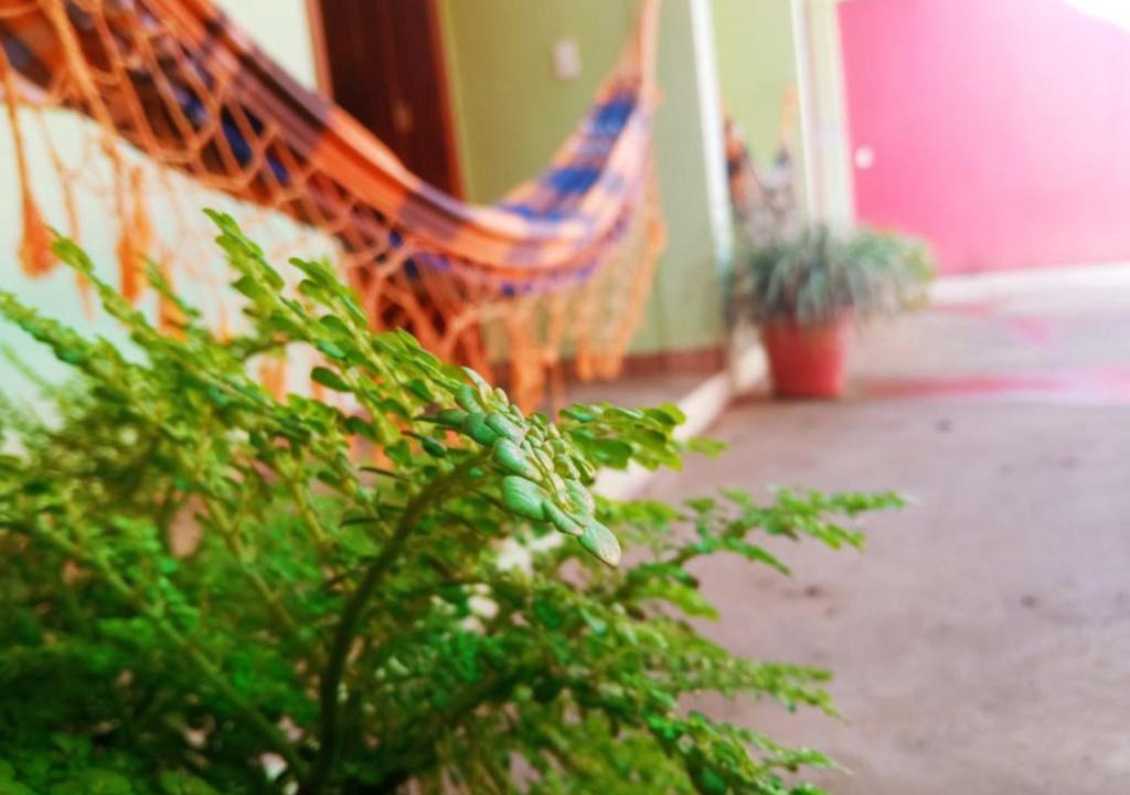 Serra do Cipo Hotel | Pousada Essência da Serra