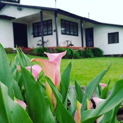 Bom Jardim da Serra Hotel | Pousada Morro Grande