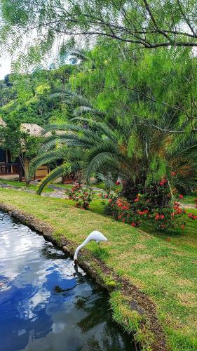 Santa Barbara do Tugurio Hotel | Pousada & Parada Olhos D'água