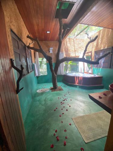Caruaru Bed & Breakfast | Pousada Paz e Tranquilidade Chalé Céu estrelado