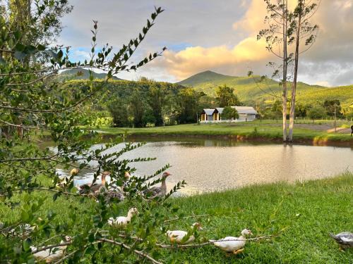 Santo Antonio da Patrulha House | Pousada Rural Encantos da Natureza