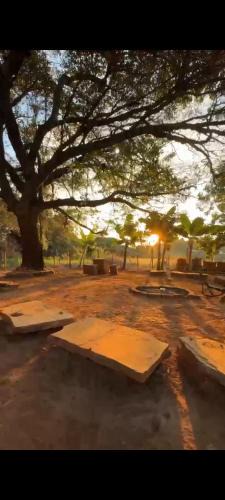 Sao Thome das Letras Other | Raízes da montanha