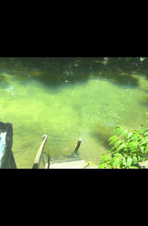 Bodoquena Other | Rancho ABA DO BETIONE