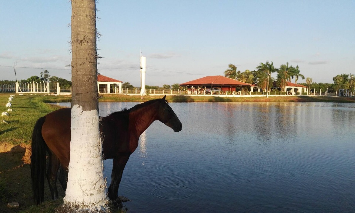 Arroyos y Esteros House | RANCHO SEIBERT TURISMO