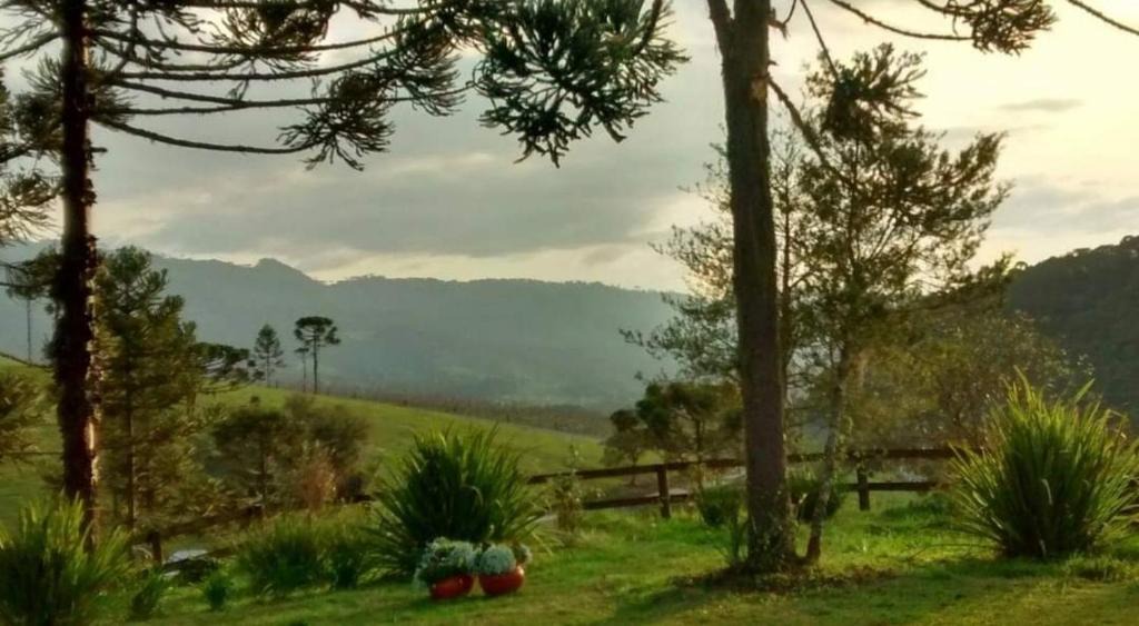 Urubici House | Recanto das Araucárias