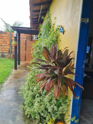 Salinopolis House | Recanto do Sal