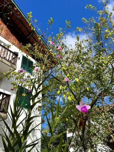 Olaria Apartment | Refúgio na Serra Condomínio em Olaria, Nova Friburgo-RJ