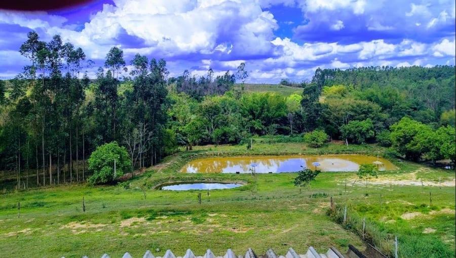 Interior de Sao Paulo Other | Regional Park