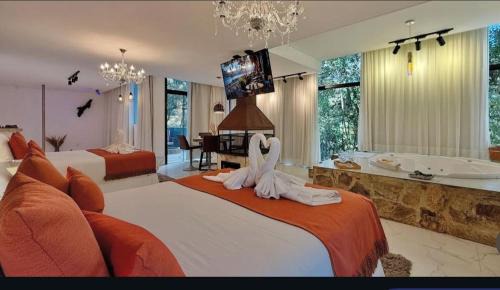 Monte Verde Resort | Resort Magnífico