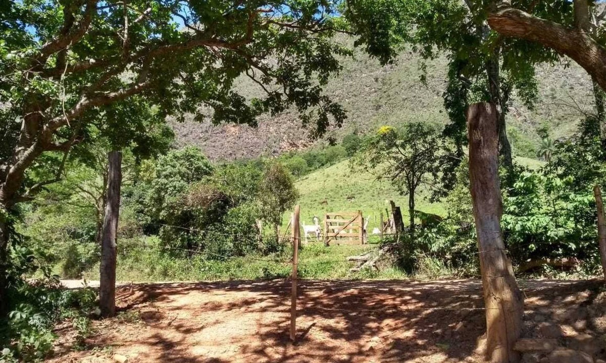 Sao Joao Batista do Gloria House | Sítio da Biquinha in the Serra da Canastra!19 km from São João Batista do Glória!